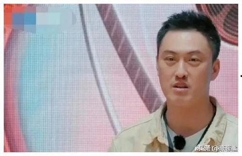 娱乐圈吃瓜爱好者是谁啊,揭秘那些热衷于八卦的明星粉丝